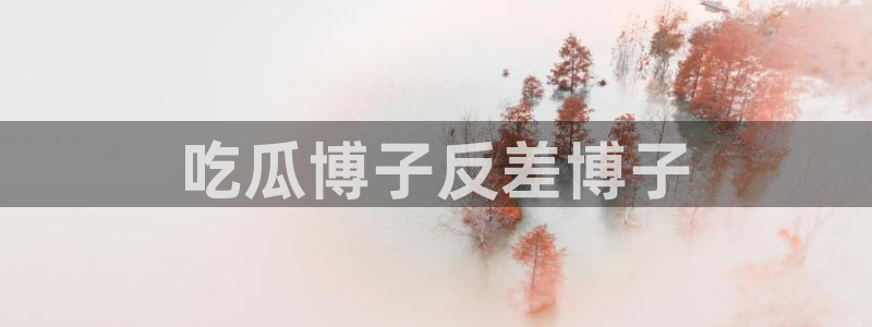 各种网红爆料吃瓜：吃瓜博子反差博子