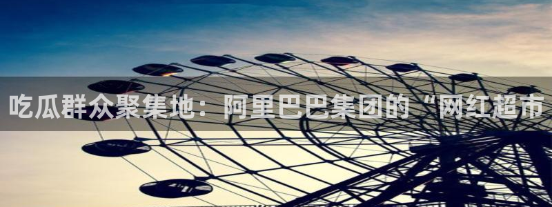 黑料.：吃瓜群众聚集地：阿里巴巴集团的“网红超市