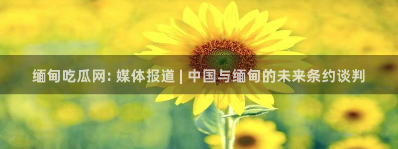 51吃瓜网今日榜单：缅甸吃瓜网: 媒体报道 | 中国与缅甸的未来条约谈判