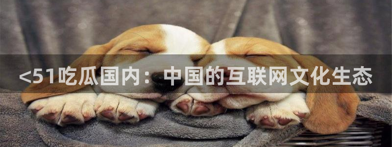 吃瓜群众中的瓜指的是：<51吃瓜国内：中国的互联网文化生态