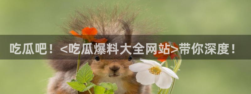 番茄和茄瓜能一起吃吗：吃瓜吧！<吃瓜爆料大全网站>带你深度！