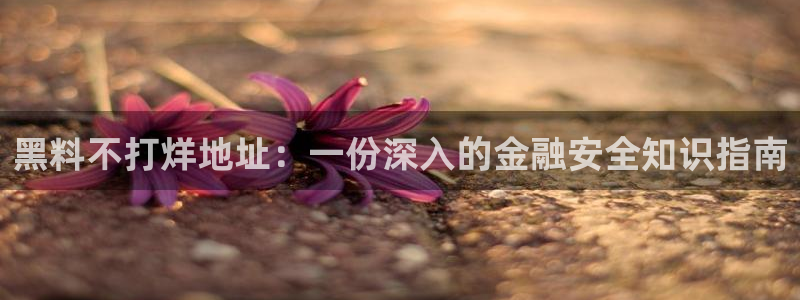 五一吃瓜今日必吃:黑料不打烊地址:一份深入的金融安全知识指南