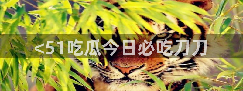51吃瓜网每日榜单今日