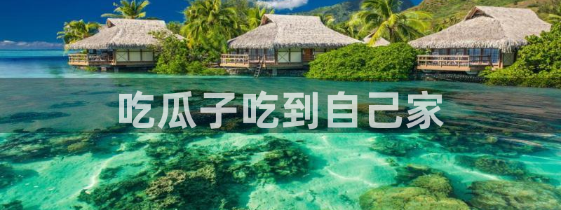 51cg吃瓜网每日吃瓜