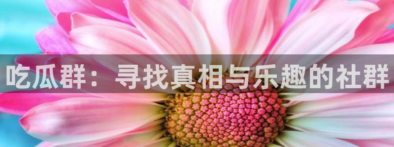 51cg1.ct吃瓜张津瑜