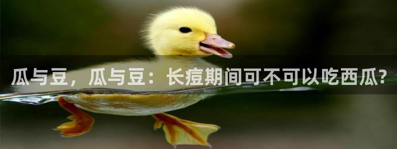 吊瓜树的瓜可以吃吗