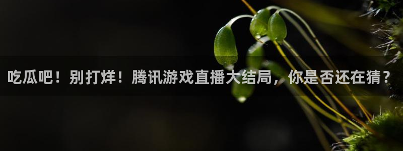 51吃瓜网 张津瑜