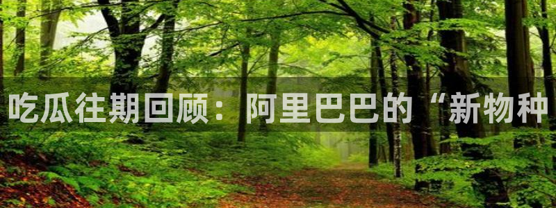 51吃瓜nanataipei：吃瓜往期回顾：阿里巴巴的“新物种