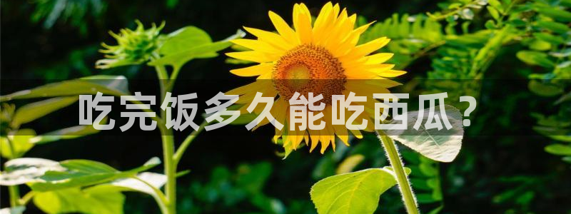 吃瓜网是全网更新最快
