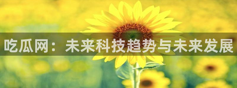 www.黑料.com：吃瓜网：未来科技趋势与未来发展
