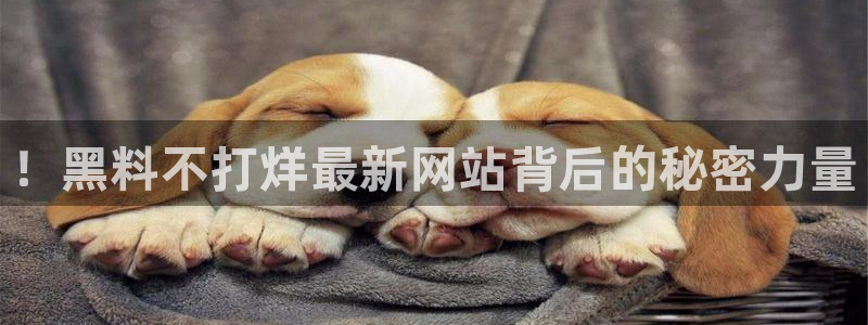 51吃瓜在线今日吃瓜：！黑料不打烊最新网站背后的秘密力量