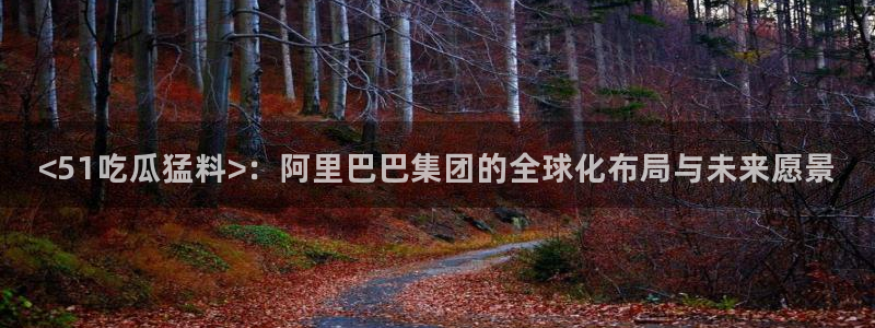 51吃瓜网小鹿酱：<51吃瓜猛料>：阿里巴巴集团的全球化布局与未来愿景