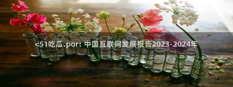 51cg10今日吃瓜：<51吃瓜.por: 中国互联网发展报告2023-2024年