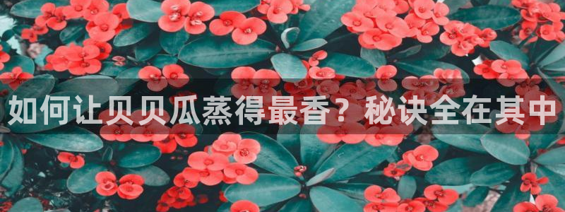 51吃瓜网每日榜单今日：如何让贝贝瓜蒸得最香？秘诀全在其中