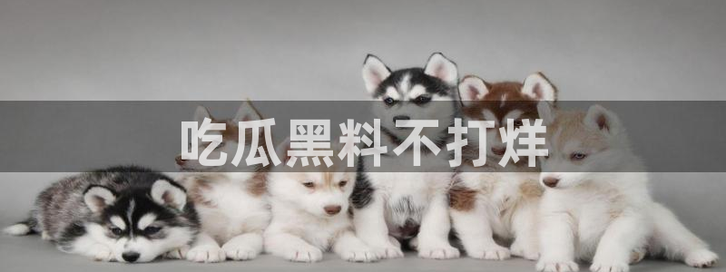 51吃瓜.world张津瑜