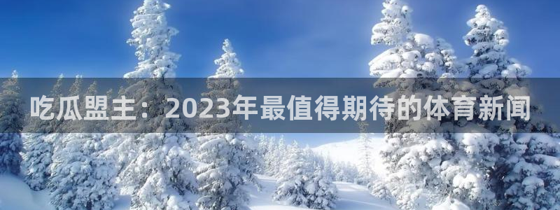 吃瓜群众中的瓜指的是：吃瓜盟主：2023年最值得期待的体育新闻