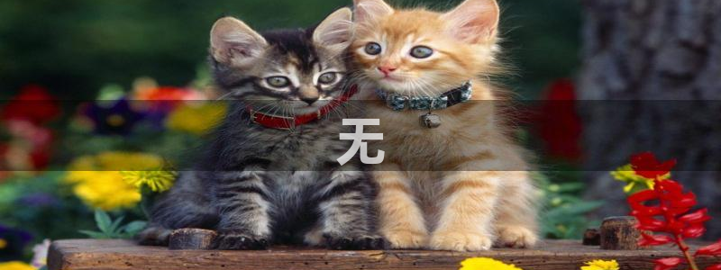 51吃瓜.world张津瑜：无