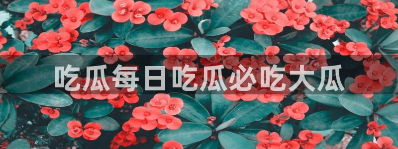 高血糖可以吃贝贝瓜吗:吃瓜每日吃瓜必吃大瓜
