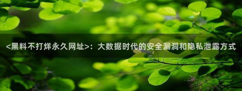 吃瓜网是全网更新最快：<黑料不打烊永久网址>：大数据时代的安全漏洞和隐私泄露方式