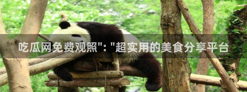 风静言我在年代文里吃瓜看戏:吃瓜网免费观照\