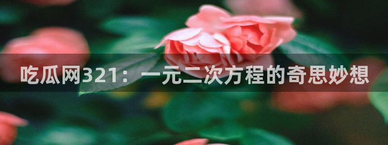 吃瓜吃到自己的死讯:吃瓜网321:一元二次方程的奇思妙想