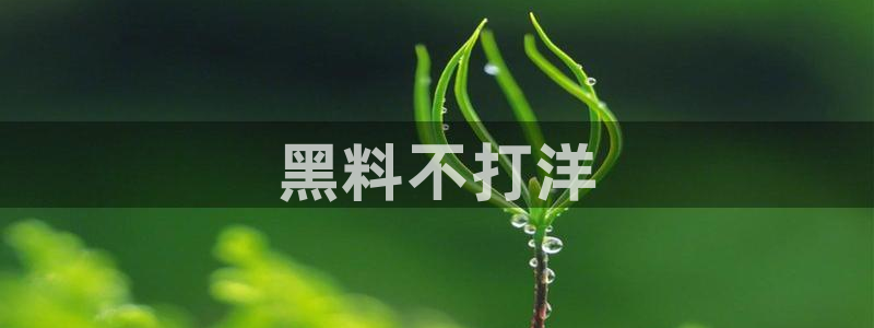 51吃瓜网张津瑜:黑料不打洋