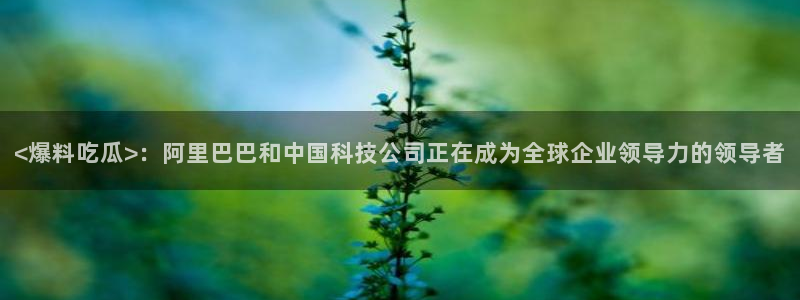 51吃瓜在线今日吃瓜：<爆料吃瓜>：阿里巴巴和中国科技公司正在成为全球企业领导力的领导者