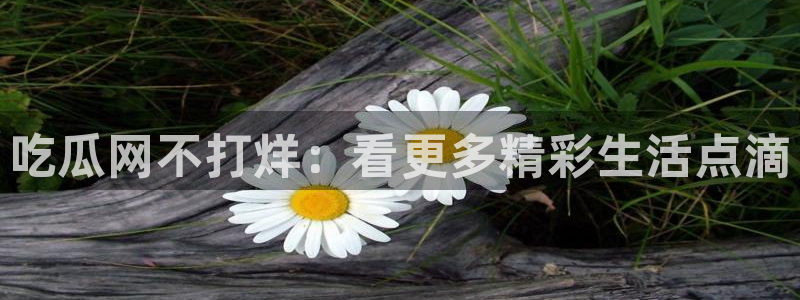 51吃瓜最新官网是多少：吃瓜网不打烊：看更多精彩生活点滴