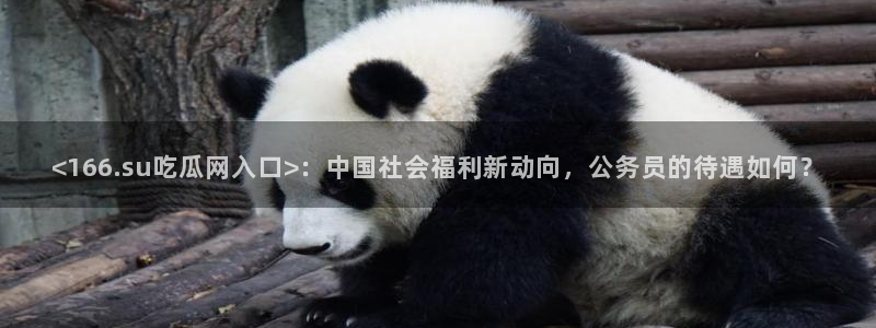 吊瓜树的瓜可以吃吗：<166.su吃瓜网入口>：中国社会福利新动向，公务员的待遇如何？