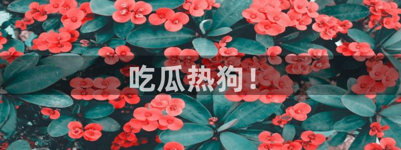 板栗瓜怎样做最好吃：吃瓜热狗！