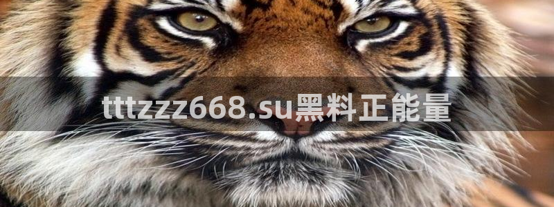 51吃瓜今日吃瓜最新网址:tttzzz668.su黑料正能量
