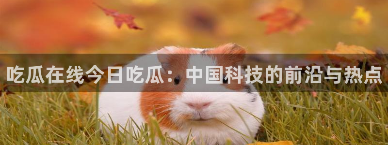 51吃瓜热心张津瑜:吃瓜在线今日吃瓜:中国科技的前沿与热点