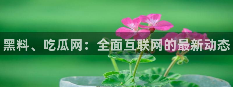 51吃瓜onlyfans网黄:黑料、吃瓜网:全面互联网的最新动态